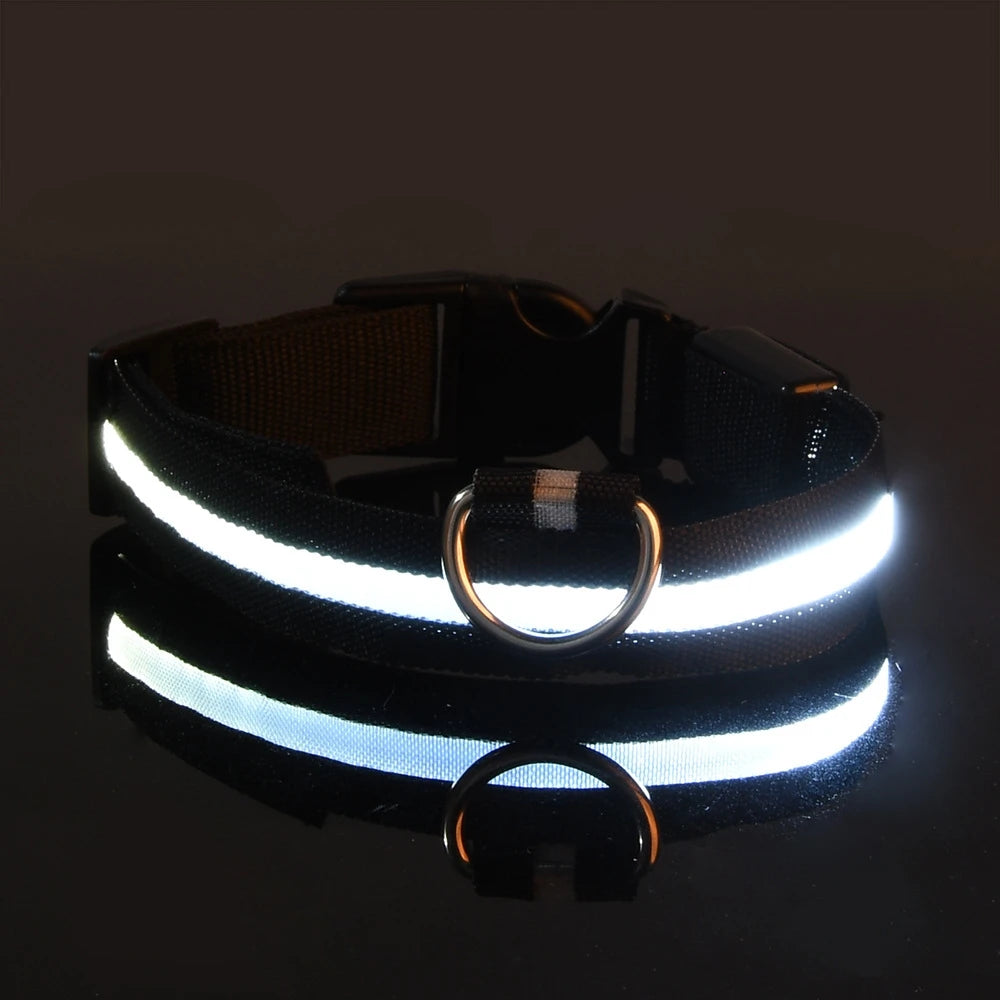 LED Nylon Dog Leash – Glow in the Dark Luminous Collar for Night Safety