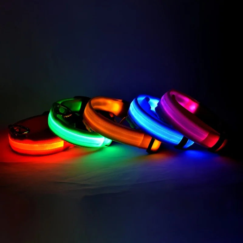 LED Nylon Dog Leash – Glow in the Dark Luminous Collar for Night Safety
