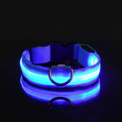 LED Nylon Dog Leash – Glow in the Dark Luminous Collar for Night Safety