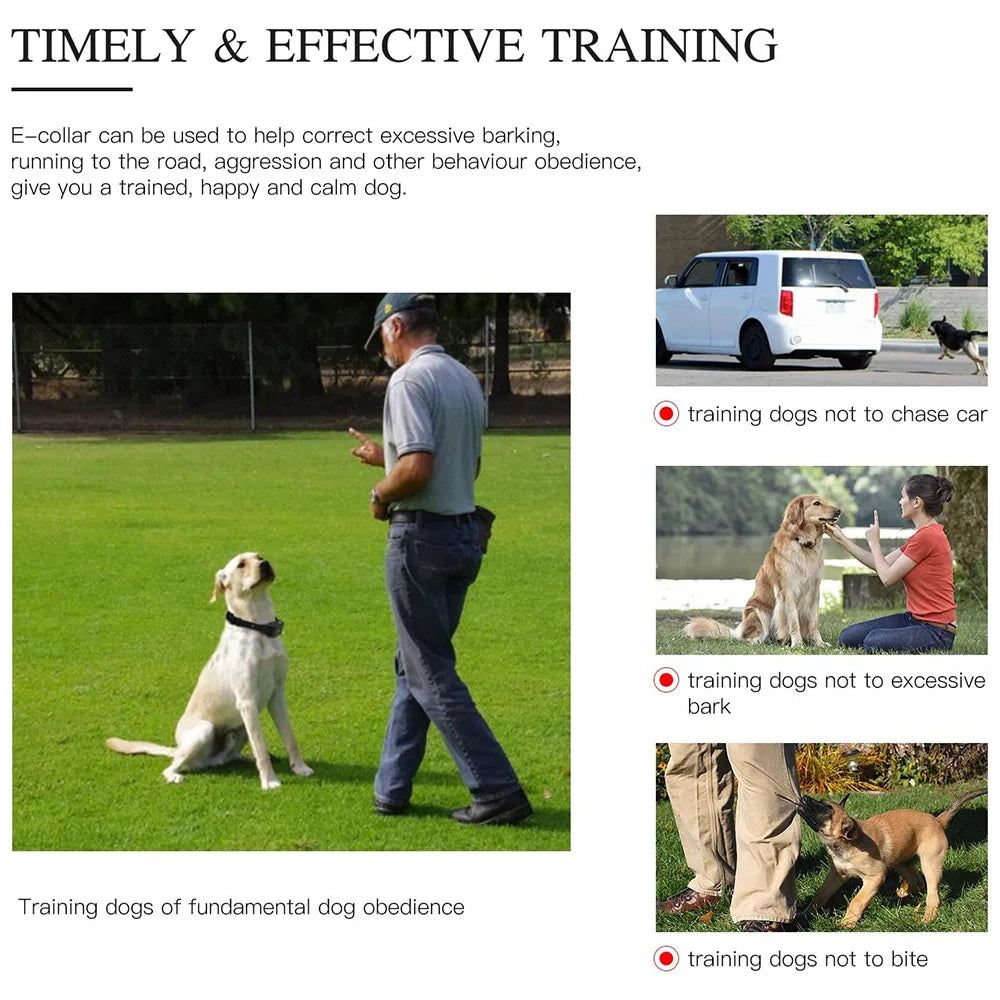 Train your dog safely - Waterproof Dog Training Collar with Remote | Rechargeable Shock, Sound & Vibration Modes – LCD Display
