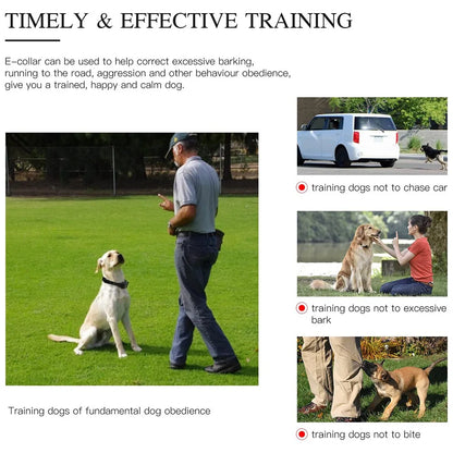 Train your dog safely - Waterproof Dog Training Collar with Remote | Rechargeable Shock, Sound & Vibration Modes – LCD Display