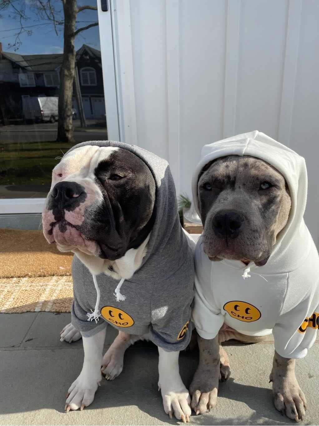 Smiley Face Dog Hoodie – Trendy Cotton Sweatshirt for Dogs & Cats (White, Large)