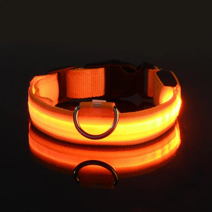 LED Nylon Dog Leash – Glow in the Dark Luminous Collar for Night Safety