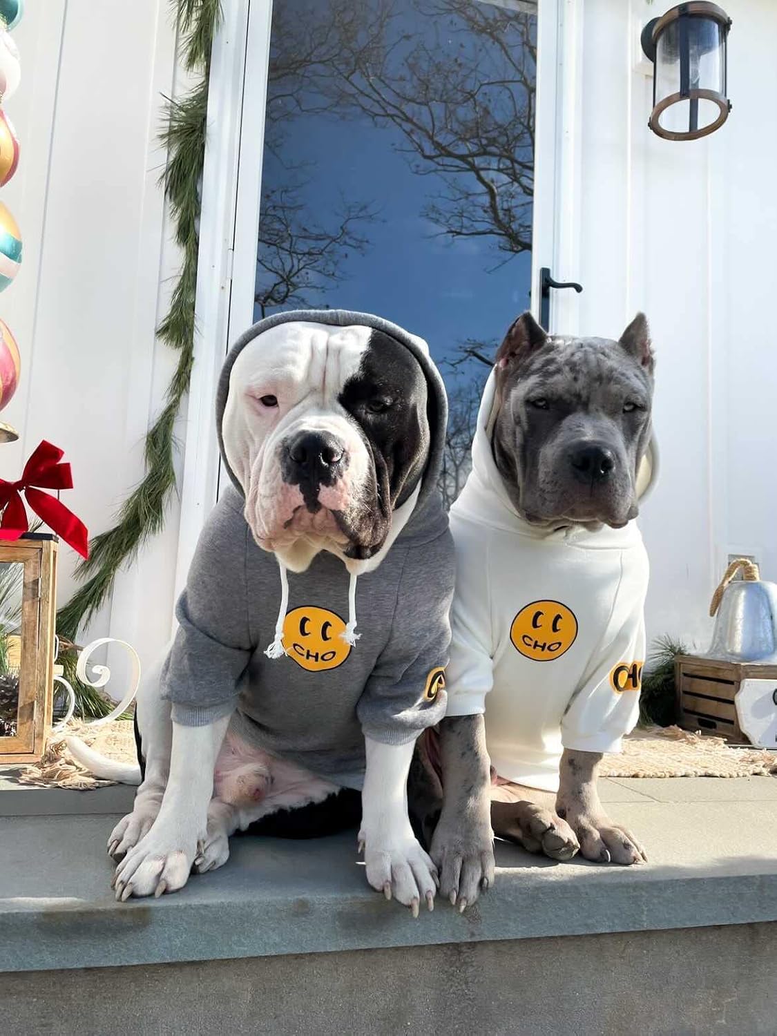 Smiley Face Dog Hoodie – Trendy Cotton Sweatshirt for Dogs & Cats (White, Large)