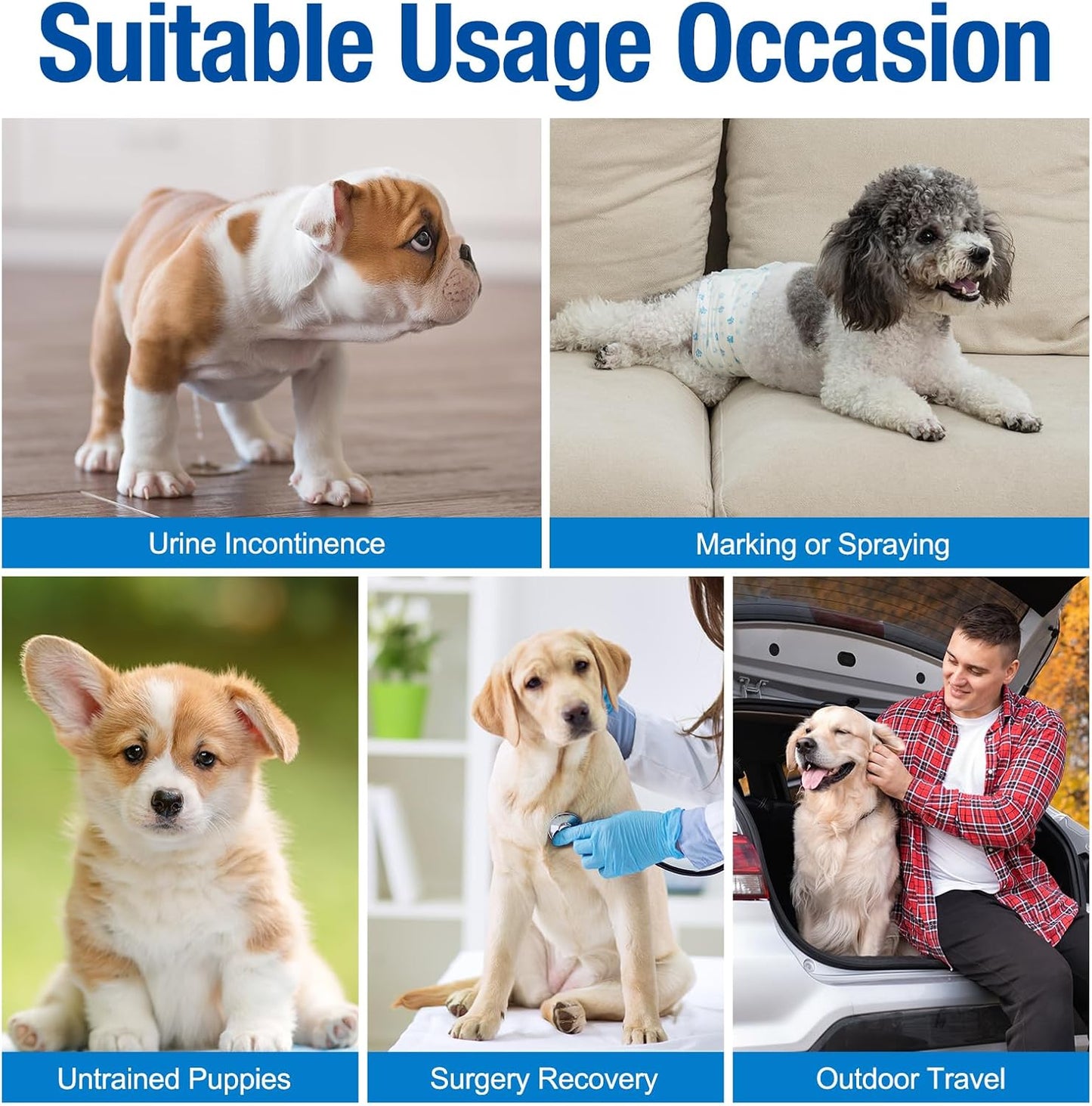 Disposable Male Dog Diapers – 12-Pack, XS Size, Leak-Proof & Comfortable Fit