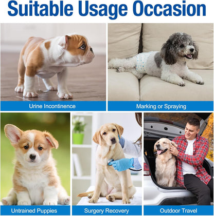 Disposable Male Dog Diapers – 12-Pack, XS Size, Leak-Proof & Comfortable Fit