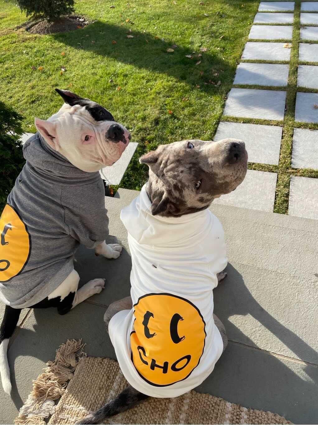 Smiley Face Dog Hoodie – Trendy Cotton Sweatshirt for Dogs & Cats (White, Large)