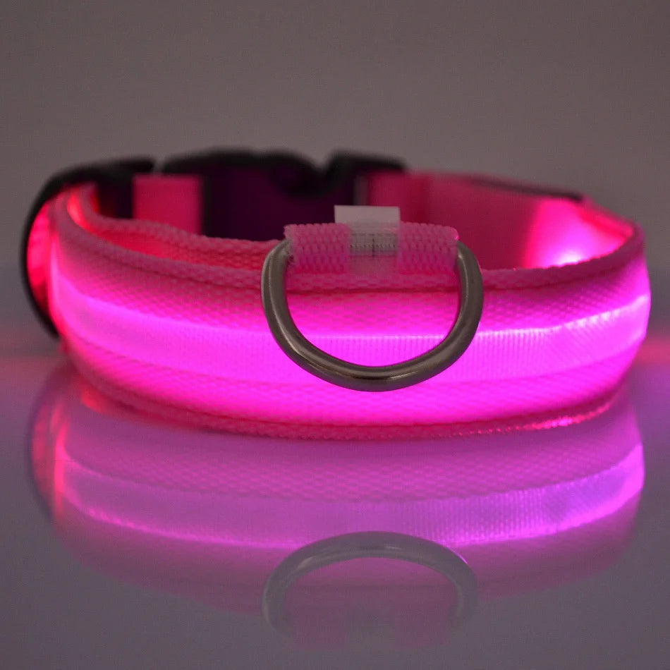 LED Nylon Dog Leash – Glow in the Dark Luminous Collar for Night Safety