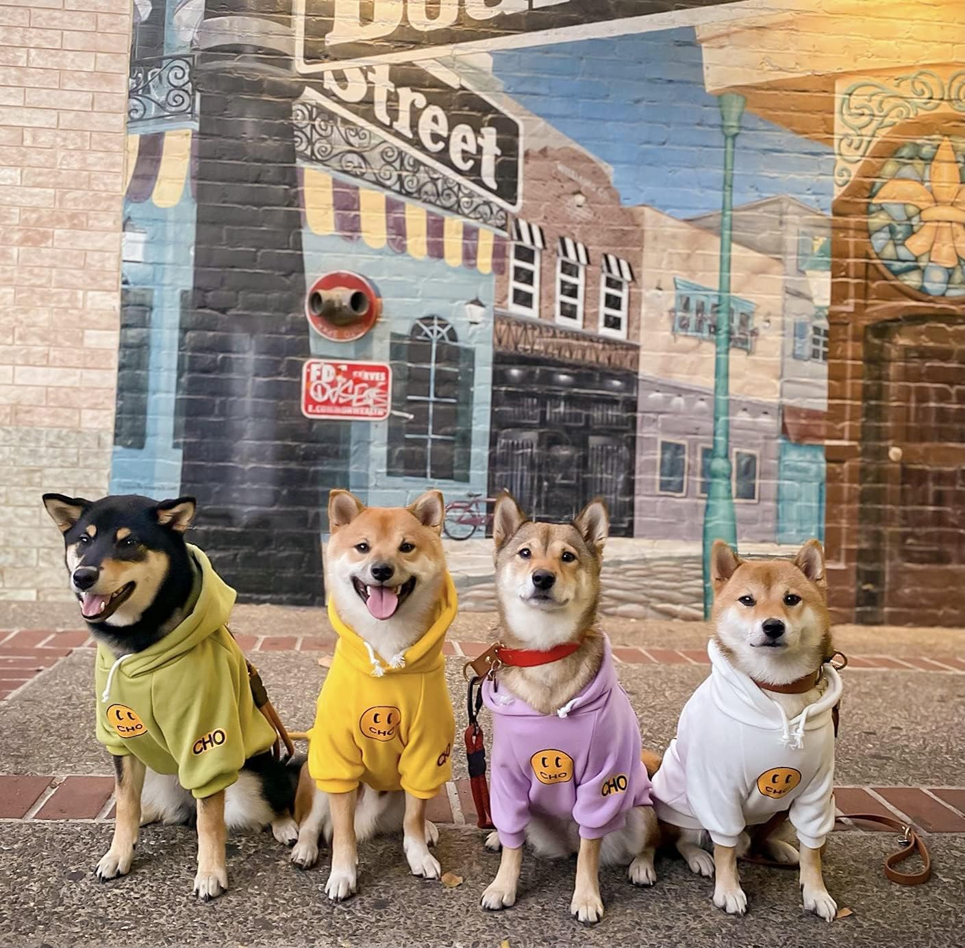 Smiley Face Dog Hoodie – Trendy Cotton Sweatshirt for Dogs & Cats (White, Large)