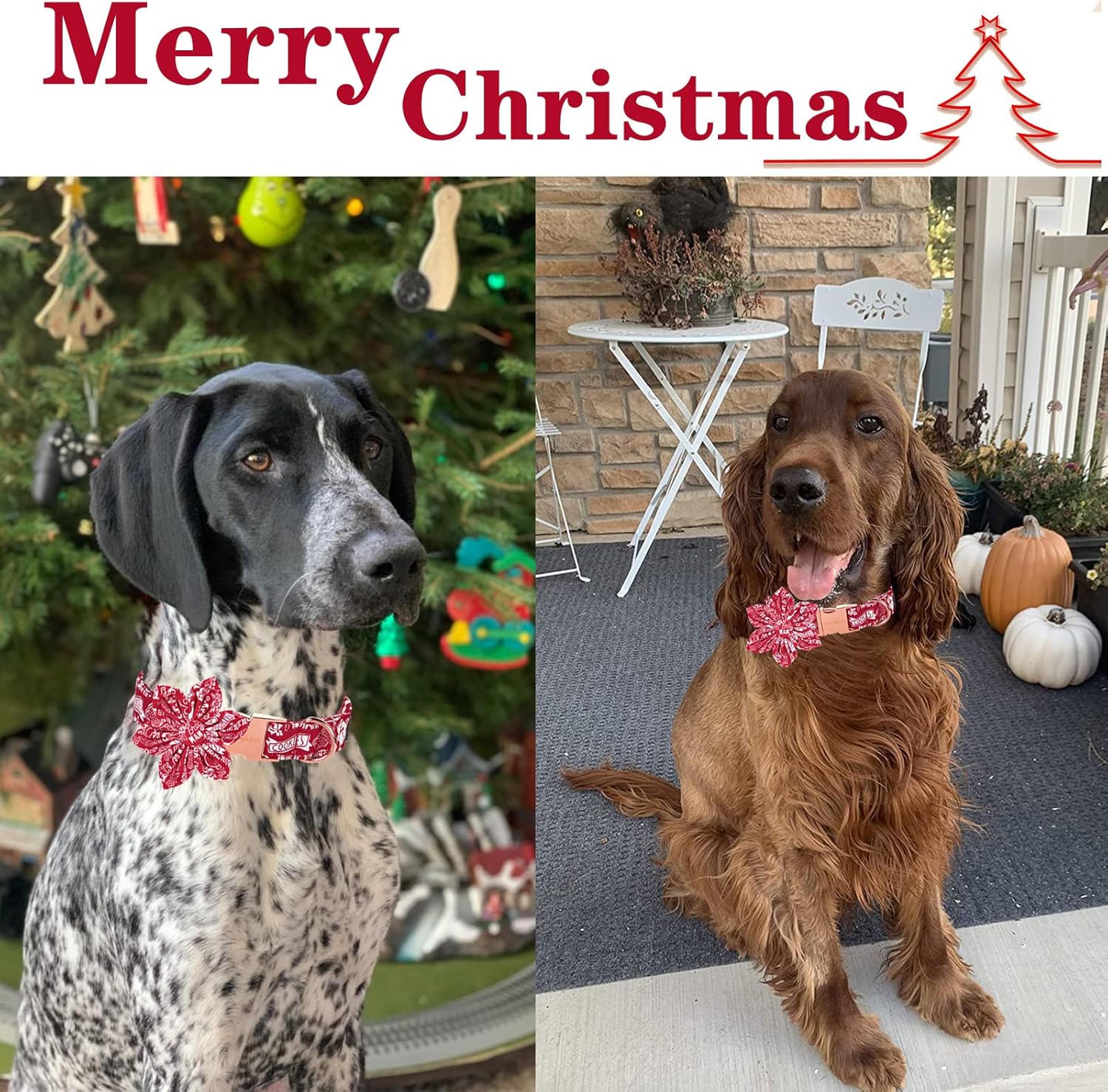 Green Flower Cotton Dog Collar with Bow – Adjustable Collar for Small, Medium & Large Dogs