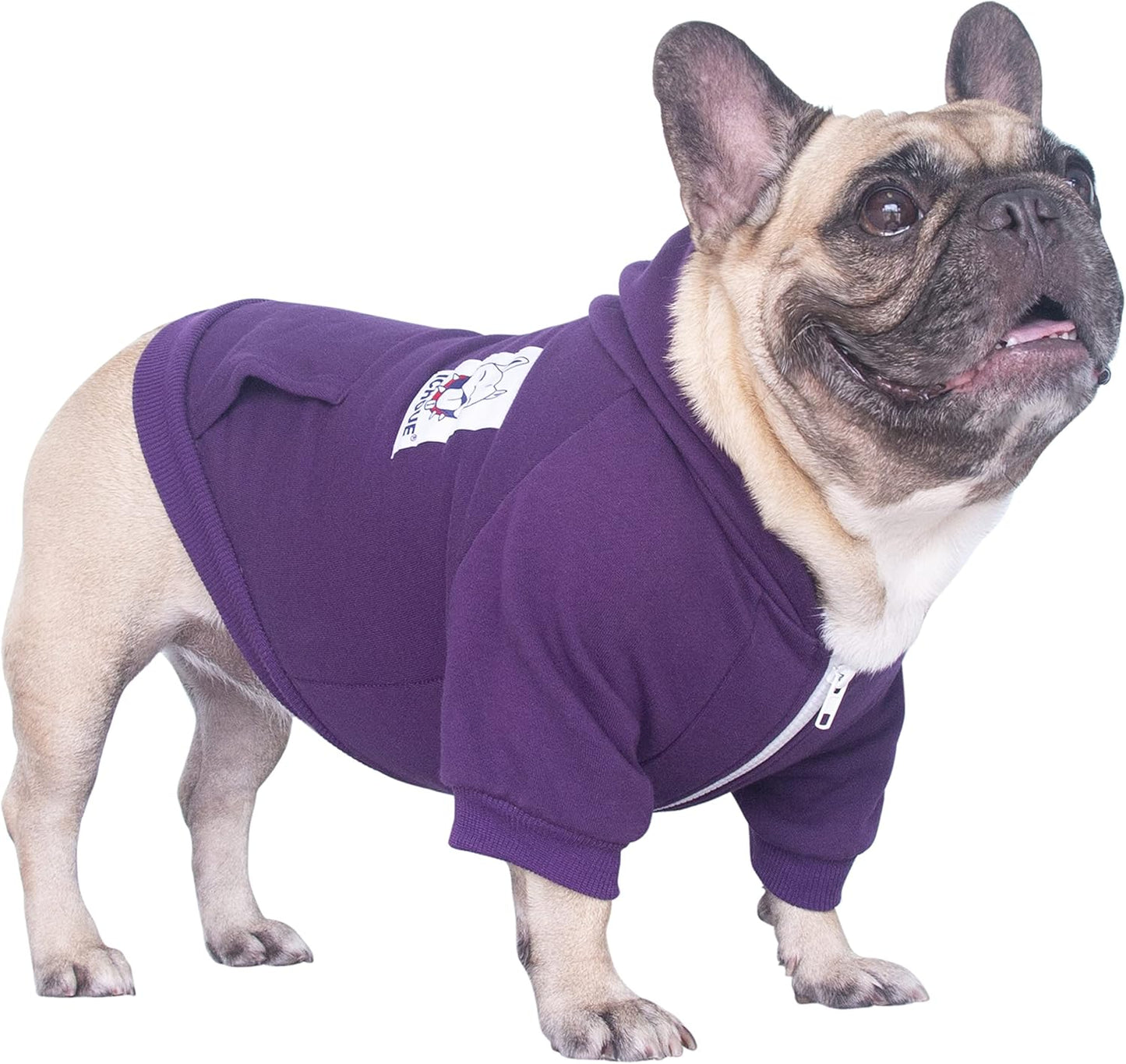 French Bulldog Hoodie – Cozy Sweatshirt for Pugs, Terriers, Corgis & Pitbulls (Dark Purple, Large Plus)