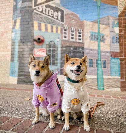 Smiley Face Dog Hoodie – Trendy Cotton Sweatshirt for Dogs & Cats (White, Large)