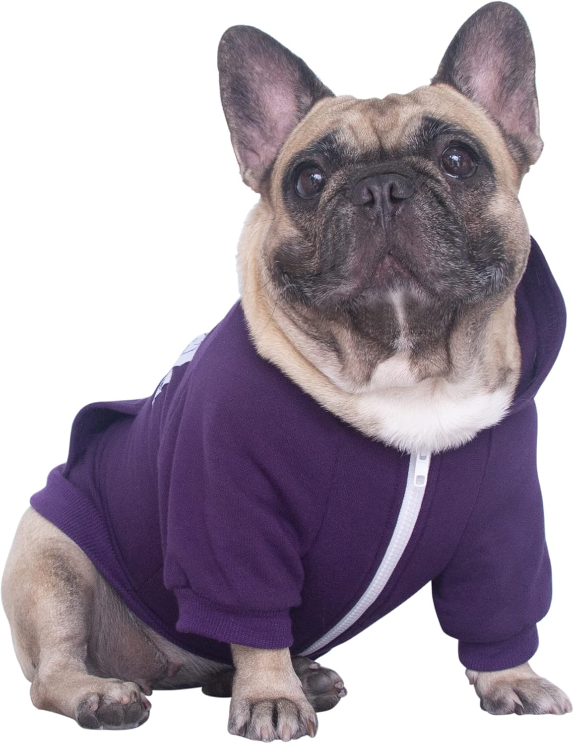 French Bulldog Hoodie – Cozy Sweatshirt for Pugs, Terriers, Corgis & Pitbulls (Dark Purple, Large Plus)