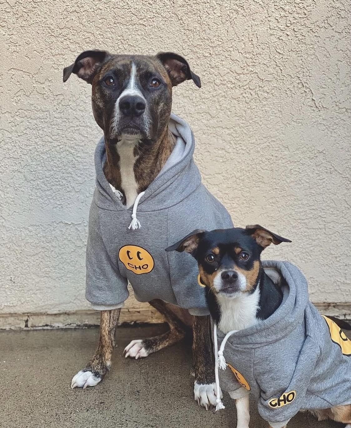 Smiley Face Dog Hoodie – Trendy Cotton Sweatshirt for Dogs & Cats (Grey, X-Large)