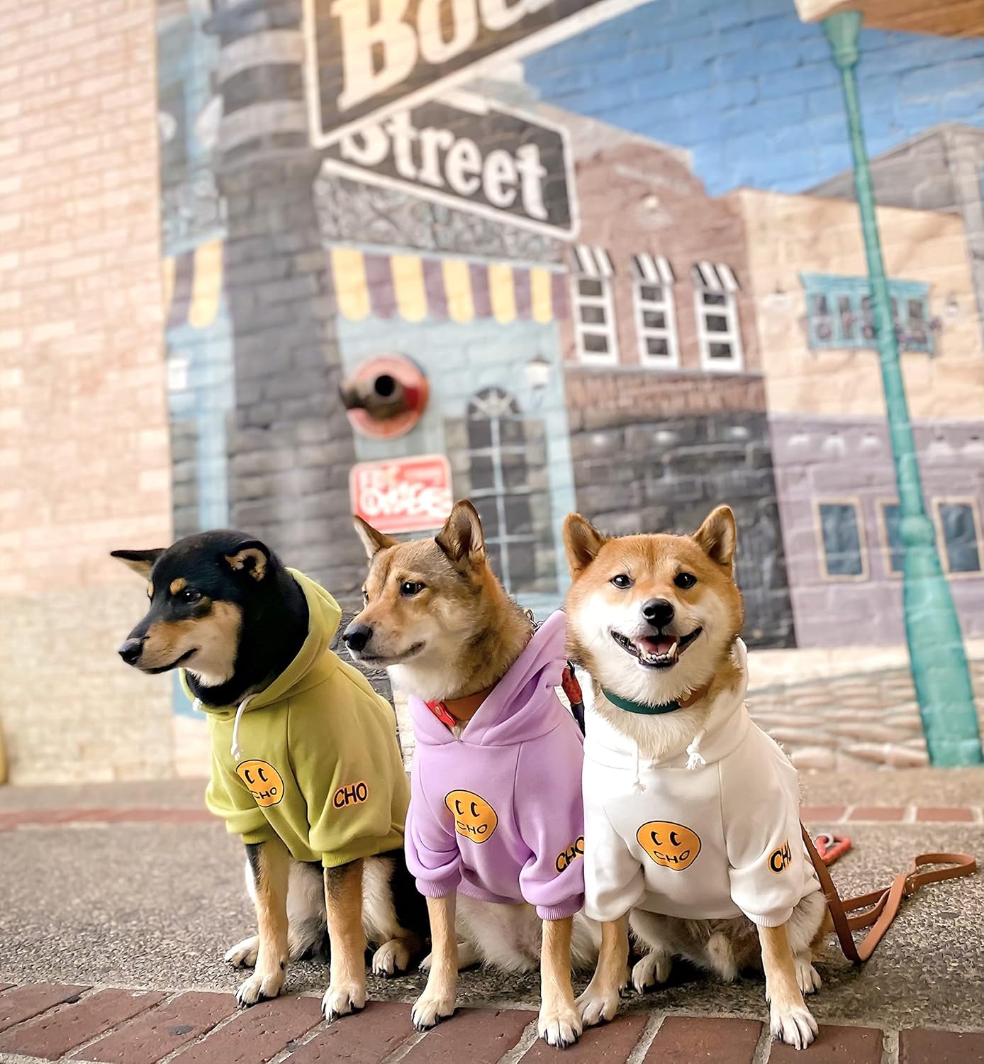 Smiley Face Dog Hoodie – Trendy Cotton Sweatshirt for Dogs & Cats (White, Large)