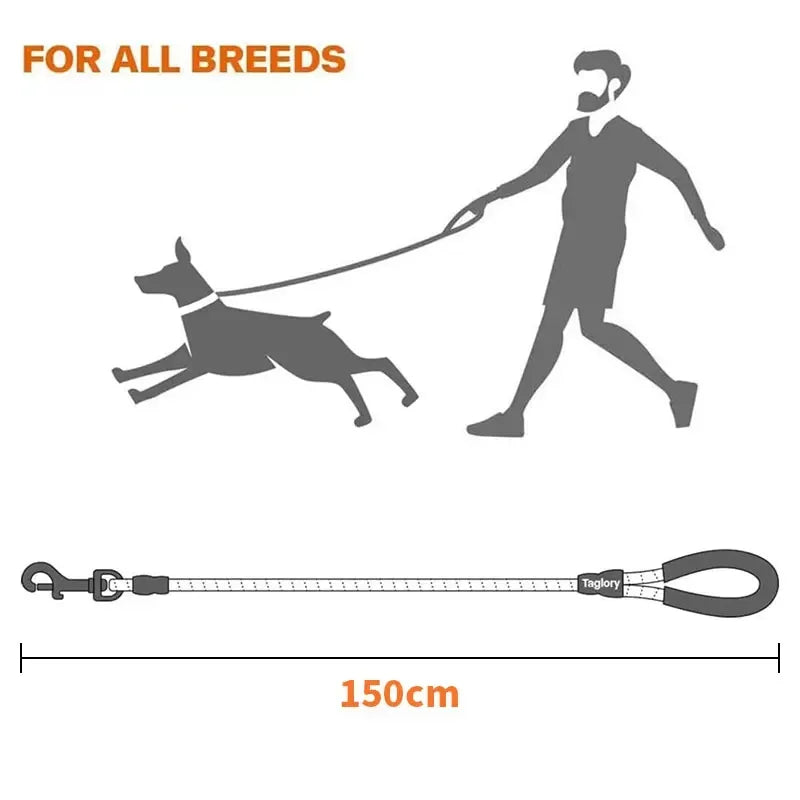 Reflective Dog Leash – Durable Traction Rope with Padded Handle for Small, Medium & Large Dogs