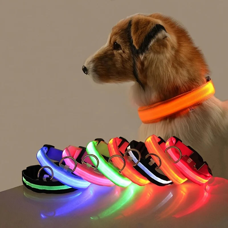 LED Nylon Dog Leash – Glow in the Dark Luminous Collar for Night Safety