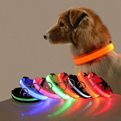 LED Nylon Dog Leash – Glow in the Dark Luminous Collar for Night Safety