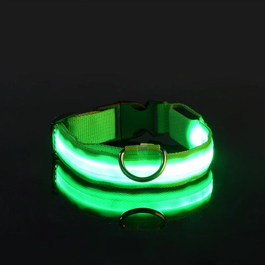 LED Nylon Dog Leash – Glow in the Dark Luminous Collar for Night Safety